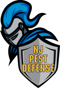 NJ Pest Defense: Your Trusted Pest Control Solution in Essex County